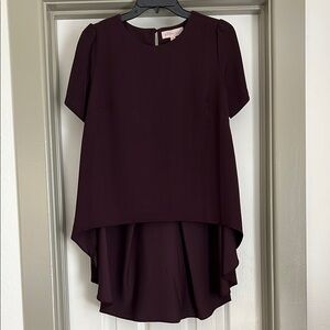 Elegant Dark Purple Blouse